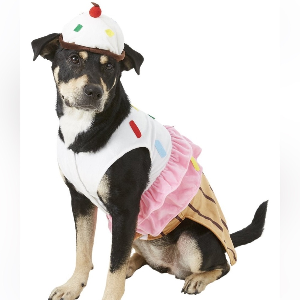 Cupcake pet costume in large